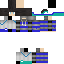 Texture for Zane in steve alfet