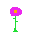 Texture for allium