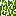 Texture for lemon_leaf