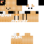 Texture for ada