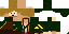 Texture for Captian Link
