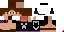 Texture for mv2