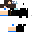 Texture for 黑狐
