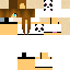 Texture for PASFINI2