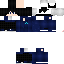 Texture for DolphinzR