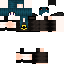 Texture for kitty