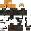 Texture for FENIX 