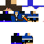 Texture for DragonNinja
