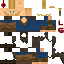 Texture for 44