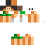 Texture for Steve Summer