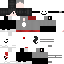 Texture for Fake SSMP2