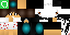 Texture for ds