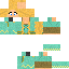 Texture for Arora