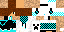 Texture for vitor_craft