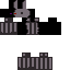 Texture for Enderrobo