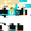 Texture for <NIKOL>