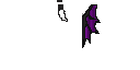 Texture for wings