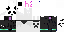 Texture for ds