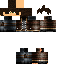 Texture for matheus_rex