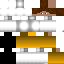 Texture for Mo1