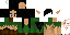 Texture for Sara Near wither