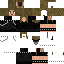 Texture for troy
