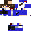 Texture for steve