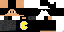 Texture for ds