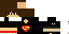 Texture for Scor2255