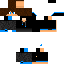 Texture for Cedar3