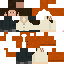 Texture for penguin