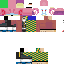 Texture for ds