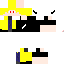 Texture for Foxe_Player