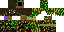 Texture for char