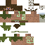 Texture for Druid