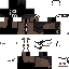 Texture for Puncoat