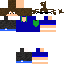 Texture for Creeper#DC