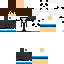Texture for joaominefox