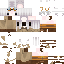 Texture for dsddddd