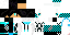 Texture for ds