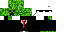 Texture for flam4