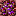 Texture for Ender Infused Netherack