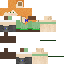 Texture for alex