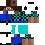 Texture for steve modern