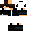 Texture for flipper02