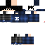 Texture for ds