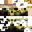 Texture for flash  reverso