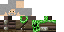Texture for creeperhunter