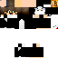 Texture for pingu