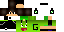 Texture for ds